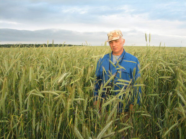 Владимир Головин