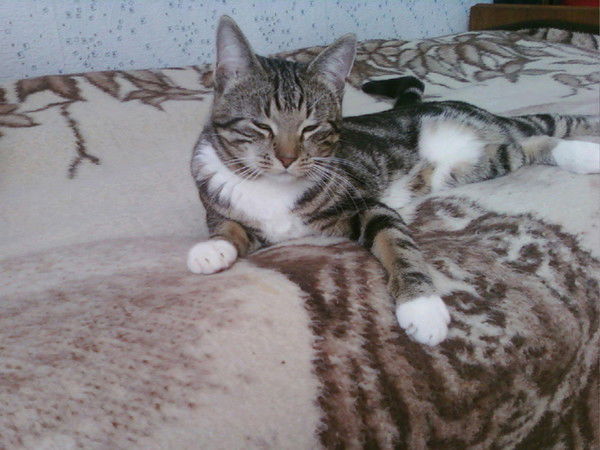 Миловидова Ирина