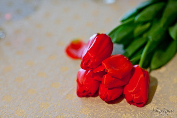 Жанна Сембекова