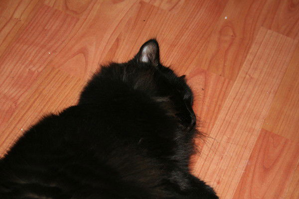 Марина Васильева