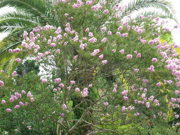 Мария Лябина