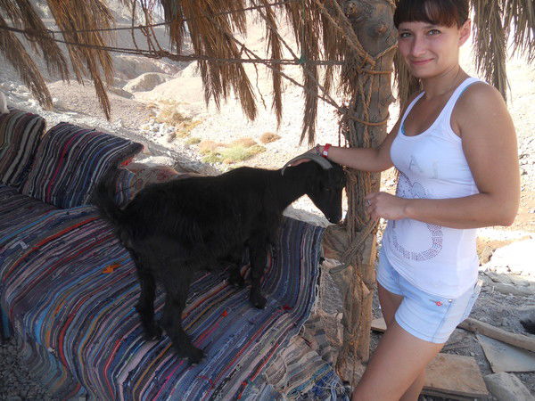 Светлана Теркалова