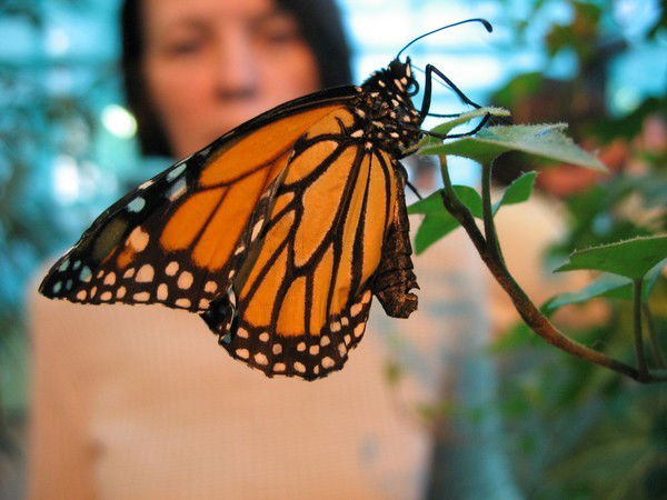 Наталья Силаспрогис