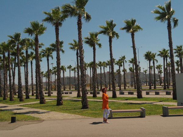 Елена Михайличенко