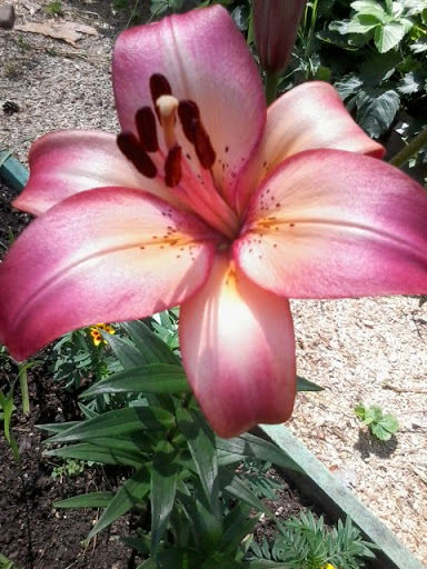 Зинаида Удалова