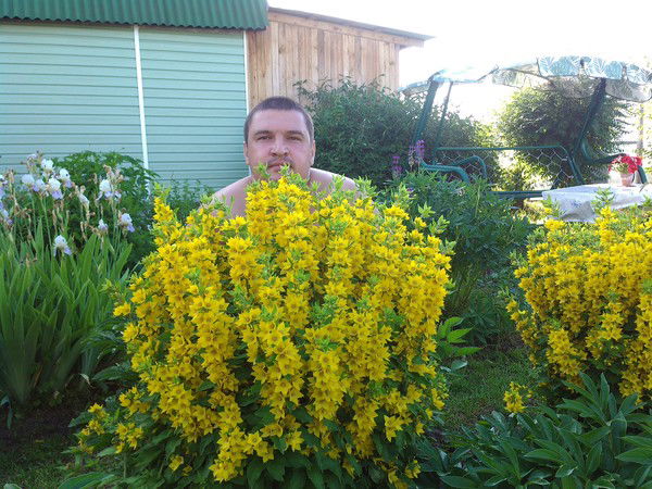 Александр Москвитин