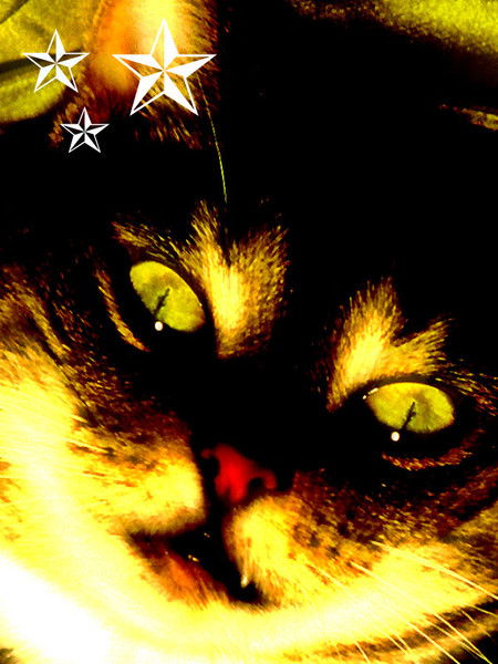 Александр Нигаматьянов