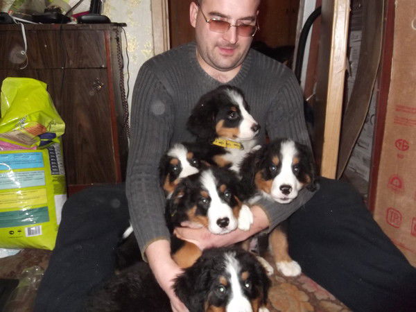 Сергей Андреев