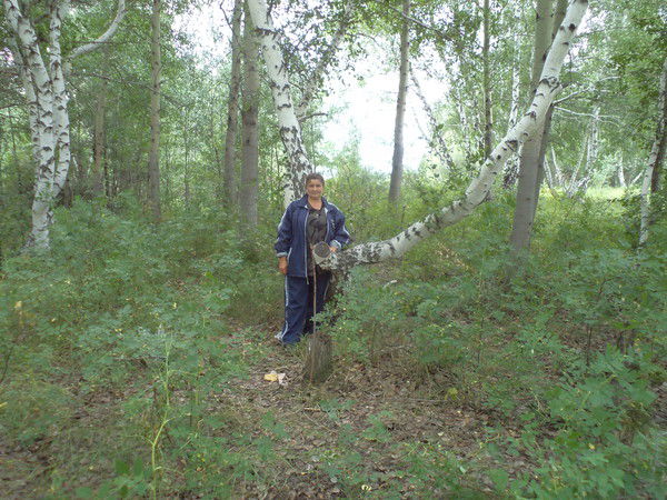 Любовь Чекомасова