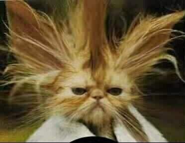 Сергей Бельмас