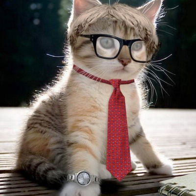 Котофей Иваныч