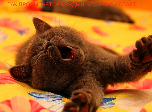 Ксения Луконина