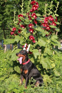 Людмила Зима