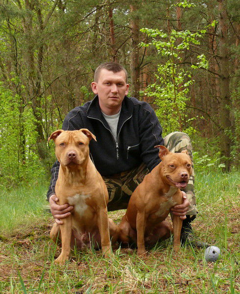 Юрий Микиша