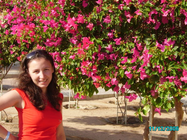 Альбина Галяутдинова