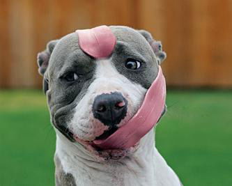 Алексей Слюсарев