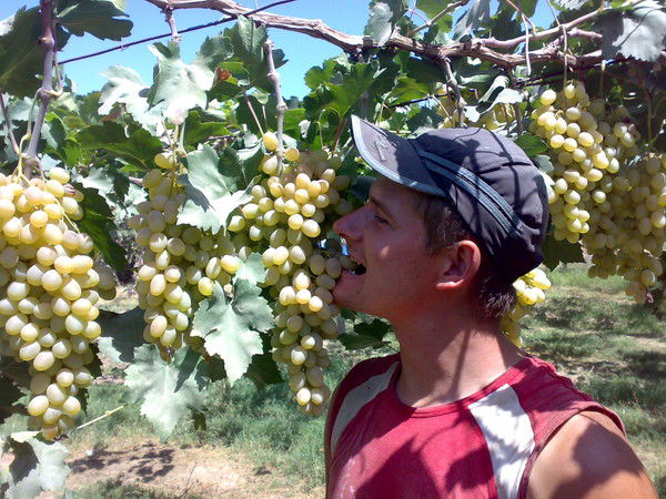 Владимир Дмитриев