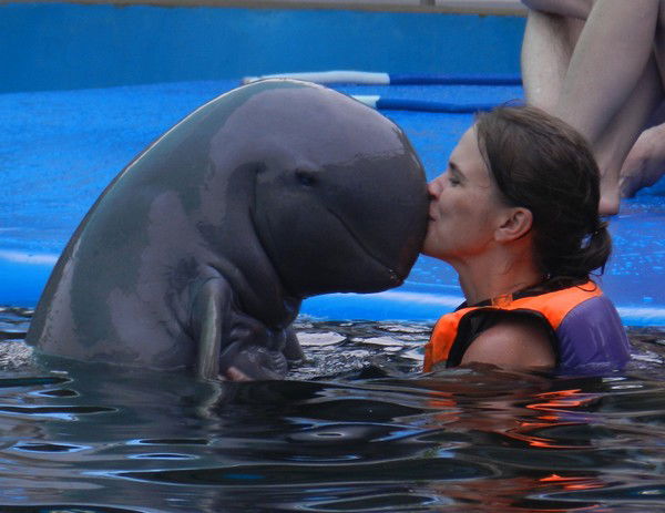 Ольга Соколова