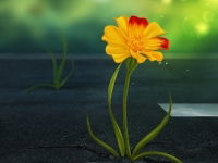 Ольга Ольга