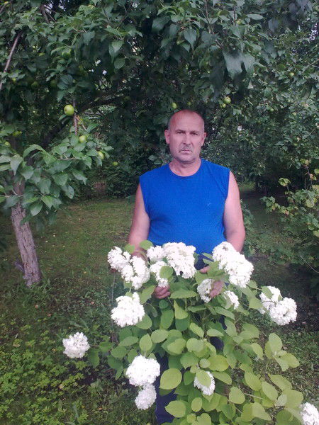 Владимир Шаталов