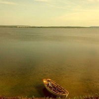 Славка Трофимов