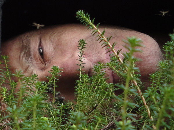 Леонид Тарасенко