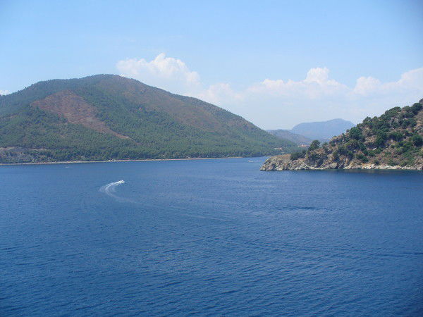 Андрей Никишов