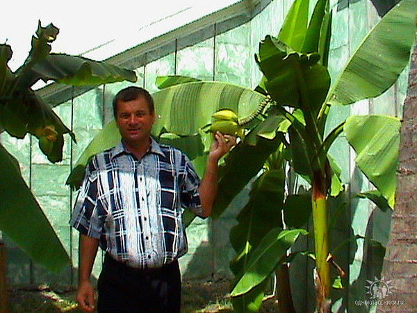 Василий Курилкин