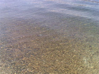 Роман Набиев