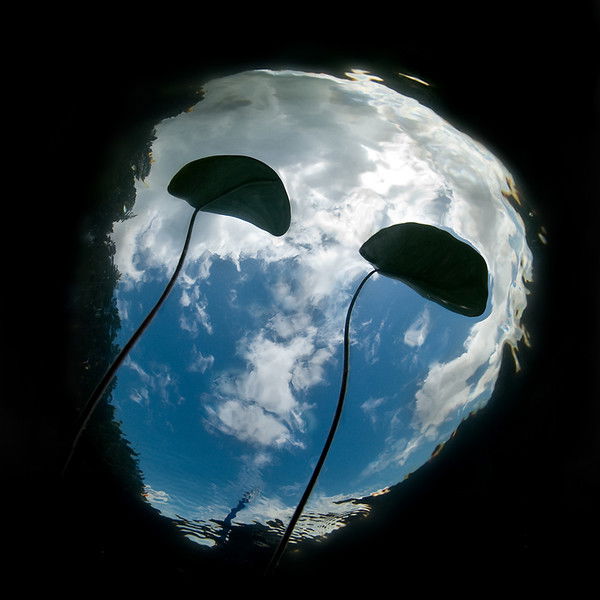 Дэним Юнкер