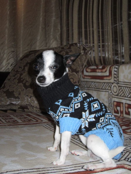 Ирина Ирина