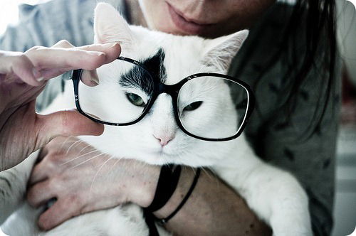 Татьяна Шестопалова