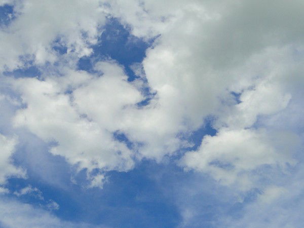 Галина Пушная