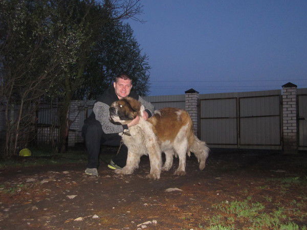 Александр Демушкин