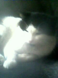 Татьяна Петренко