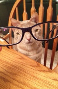 Сёма Карагодин