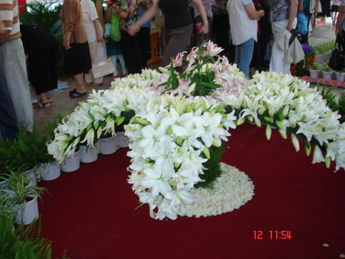 Надежда Алферова