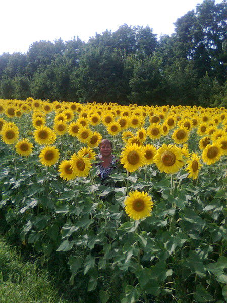 Татьяна Каремина