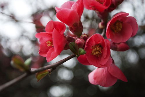 Кафедра Педагогики