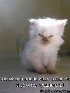 Вейлор Брин