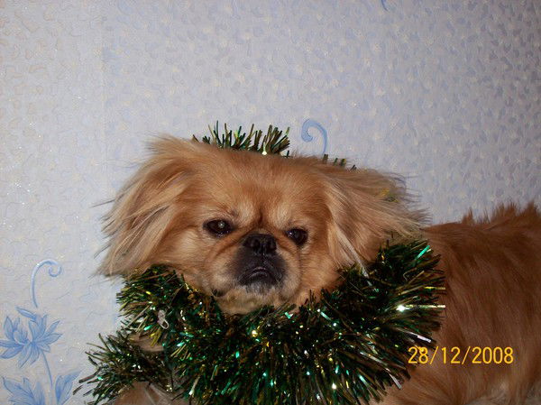 Андрей Утюжников