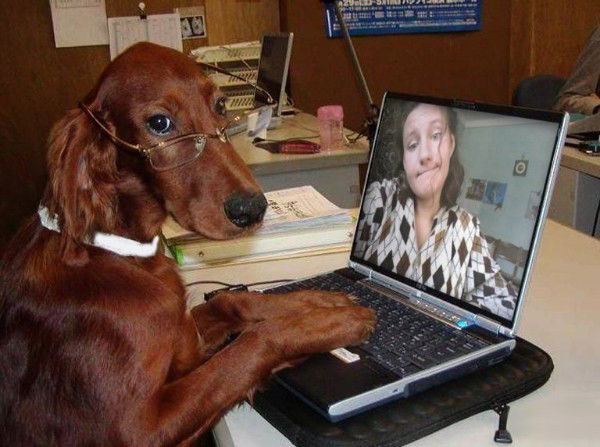 Океан Влюблённых Глаз