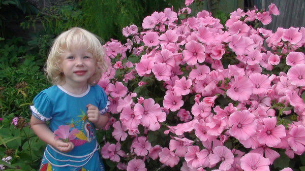 Светлана Дьяконова