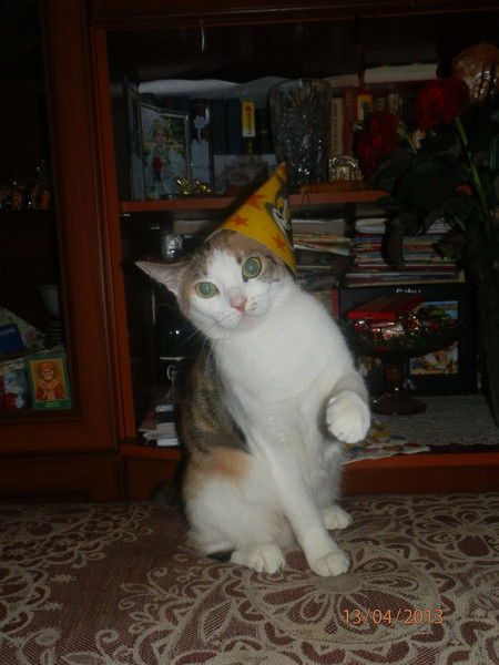 Светлана Осипова