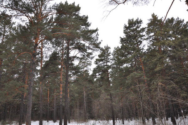 Ключка Оксана