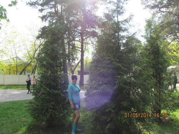 Татьяна Напреенко