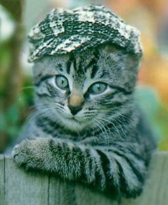 Виталя Нятин