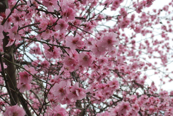 Ольга Пушкова