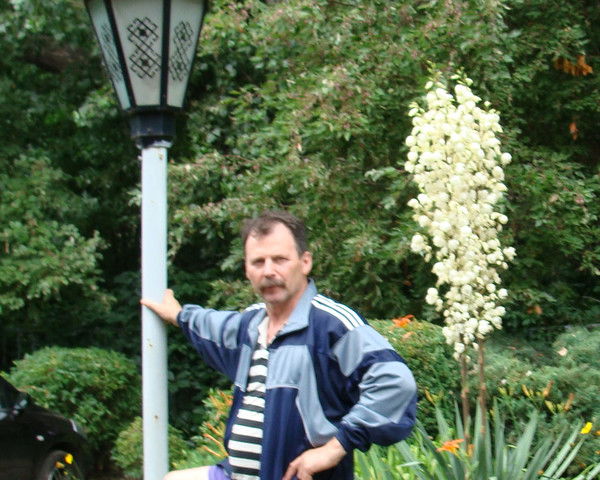 Александр Сулакшин