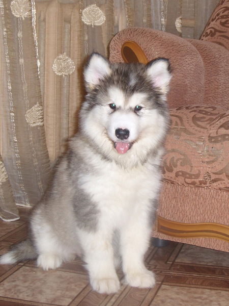 Мария Кузнецова